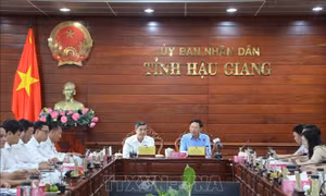 Chia sẻ kinh nghiệm phát triển chuỗi giá trị trong nông nghiệp