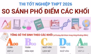 So sánh phổ điểm thi tốt nghiệp THPT năm 2026 các khối A00, B00, C00, D01, A01