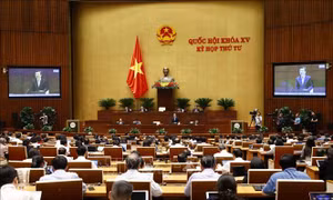 Thông cáo báo chí số 12, Kỳ họp thứ 4, Quốc hội khóa XV