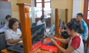 Hoàn thiện nền tảng số, nâng cao chất lượng phục vụ người dân
