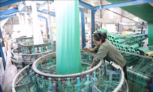 Xử lý dứt điểm tình trạng tồn đọng đơn sở hữu công nghiệp trước tháng 10/2025