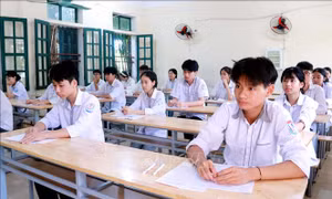 Thái Bình: Công bố điểm chuẩn tuyển sinh vào lớp 10