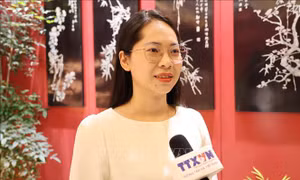 Kỳ vọng của lưu học sinh vào Ngày hội bầu cử của đất nước