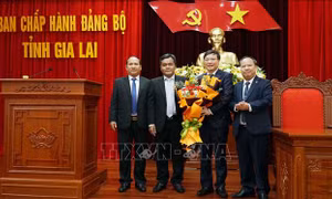 Thứ trưởng Bộ Nội vụ Trương Hải Long giữ chức Phó Bí thư Tỉnh ủy Gia Lai