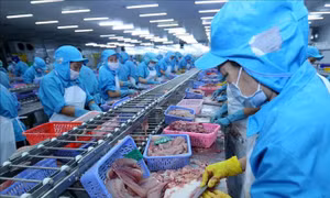GDP 9 tháng tăng 6,98%, cao nhất trong 8 năm qua