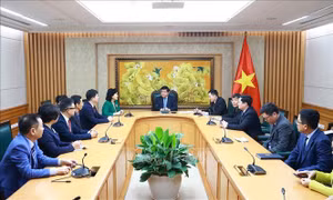 CCSEZR đưa ra những khuyến nghị hữu ích cho Chính phủ Việt Nam