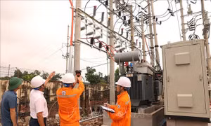 Điện lực miền Bắc kích hoạt đồng bộ các phương án phòng, chống thiên tai