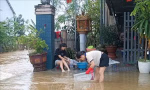 Thông báo Kết luận của Bộ Chính trị về khắc phục hậu quả do bão số 12 và mưa, lũ gây ra