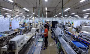 JETRO: Nhật Bản sẵn sàng hợp tác, thúc đẩy tăng trưởng xanh ở Việt Nam