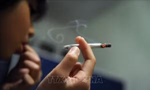 Kiểm soát thuốc lá – chìa khóa giảm tình trạng suy dinh dưỡng thấp còi ở trẻ em