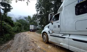 Đề xuất đầu tư hơn 8.500 tỷ đồng nâng cấp 5 tuyến quốc lộ kết nối với Lào