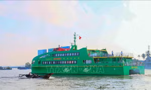 Hoãn cưỡng chế tàu cao tốc của Công ty Mai Linh Tây Đô do có tranh chấp liên quan