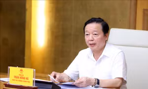 Hoàn thiện cơ sở dữ liệu quản lý khai thác thủy sản 'đúng, đủ, sạch, sống'