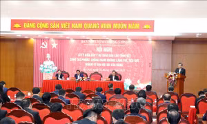 Phòng, chống tham nhũng phải gắn chặt với phục vụ phát triển kinh tế - xã hội