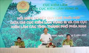 Kiểm lâm 21 tỉnh, thành phía Nam bàn giải pháp phối hợp bảo vệ rừng