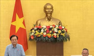 Phó Chủ tịch Quốc hội Lê Minh Hoan gặp mặt Đoàn đại biểu Quốc hội các khóa tỉnh Cà Mau và tỉnh Đồng Tháp