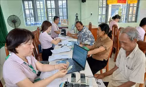 Dòng vốn ưu đãi lan tỏa, tiếp sức hàng nghìn hộ dân phát triển kinh tế