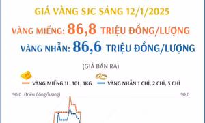 Vàng miếng và vàng nhẫn sáng 12/1 sát mốc 87 triệu đồng/lượng