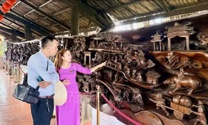 'Bảo tàng' gỗ lũa giữa dòng sông Tiền