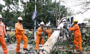 Điện lực miền Bắc khôi phục điện cho gần 90% khách hàng sau bão số 5