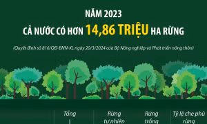 Năm 2023: Cả nước có hơn 14,86 triệu ha rừng