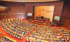 Thông cáo báo chí số 21, Kỳ họp thứ 4, Quốc hội khóa XV