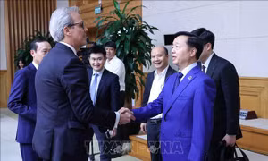Phó Thủ tướng Trần Hồng Hà làm việc với Đoàn thanh tra IUU của EC