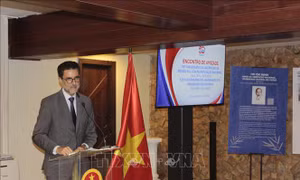Quan chức Brazil ấn tượng trước tinh thần kiên cường của nhân dân Việt Nam 