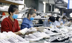 'Chìa khóa' bảo vệ thương hiệu số