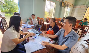 Cắt giảm, đơn giản hóa điều kiện kinh doanh của 11 lĩnh vực nông nghiệp và môi trường