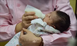 Nhiều bang của Mỹ lần đầu có số ca tử vong vượt số trẻ được sinh ra trong năm 2020