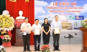 Cấp chứng nhận tiêu chuẩn quốc tế cho vùng ngao nguyên liệu ở Ninh Bình