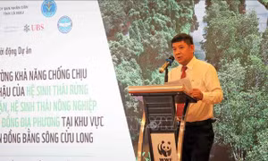 Tăng cường khả năng chống chịu với khí hậu tại ven biển vùng ĐBSCL