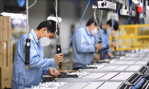 Dự báo thế giới 2021: Năm của các nền kinh tế mới nổi