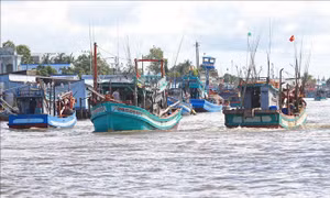 Thủ tướng Chính phủ yêu cầu xử lý dứt điểm tàu cá '03 không'