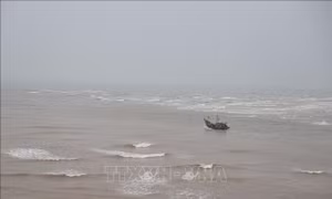 Chủ động ứng phó với diễn biến và tác động của bão đôi