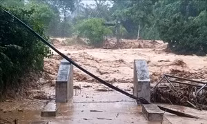 Quân đội tập trung ứng phó khẩn cấp với mưa, lũ trên khu vực tỉnh Nghệ An