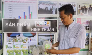 Mở rộng thị trường tiêu thụ cho sản phẩm địa phương