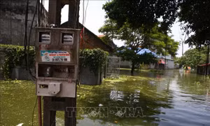 Giảm thiệt hại ngập úng cho lưu vực sông Bùi