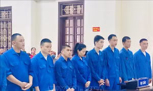 Phạt tù chung thân 3 đối tượng trong đường dây ma túy quy mô lớn