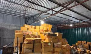 Thu giữ 4.300 kg táo đỏ không rõ nguồn gốc