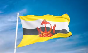 Điện mừng Quốc khánh lần thứ 41 của Brunei Darussalam