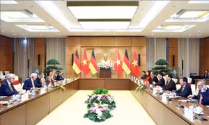 Chủ tịch Quốc hội Vương Đình Huệ hội kiến Tổng thống CHLB Đức 