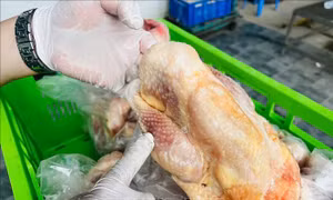 Hà Nội: Ngăn chặn khoảng 20 tấn thực phẩm không rõ nguồn gốc tuồn ra thị trường