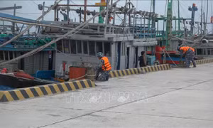Thủ tướng Chính phủ yêu cầu chủ động ứng phó bão số 15 với phương châm chủ động phòng ngừa