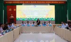 Đồng Nai đề nghị thí điểm thành lập khu thương mại tự do gần sân bay Long Thành