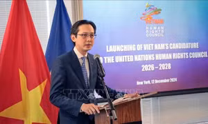 Việt Nam công bố tái ứng cử Hội đồng Nhân quyền LHQ nhiệm kỳ 2026-2028