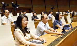 Hoàn thiện thể chế, nâng tầm chất lượng sản phẩm, hàng hóa