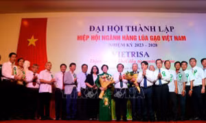 Thành lập Hiệp hội Ngành hàng lúa gạo Việt Nam