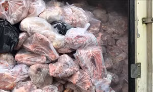Phát hiện 35 tấn đường và gần 500 kg thực phẩm không rõ nguồn gốc